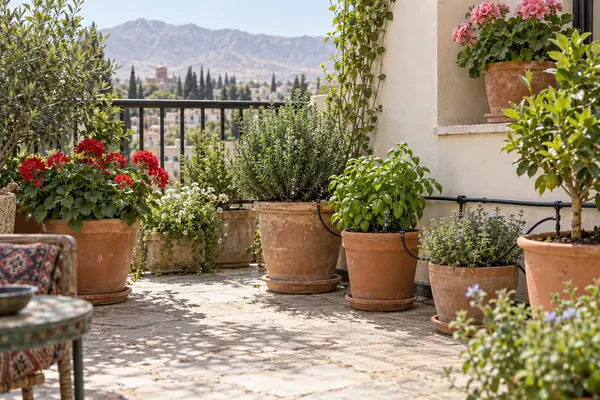 تصویرسازی کاربرد آبیاری در تراس و فلاورباکس