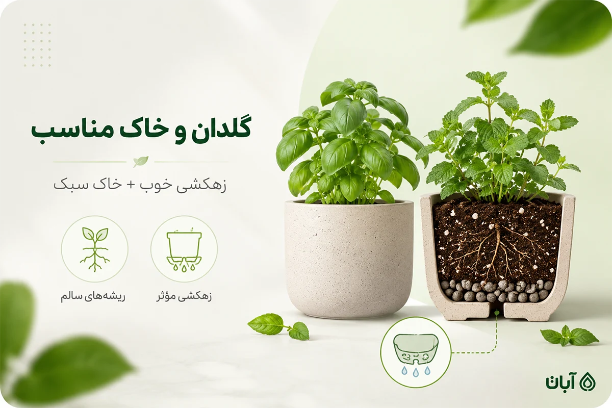گلدان مناسب برای کاشت سبزی