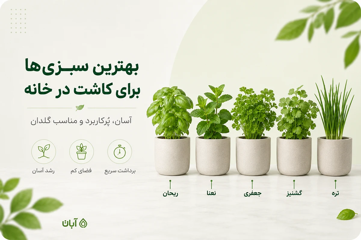 بهترین سبزی برای کاشت در خانه