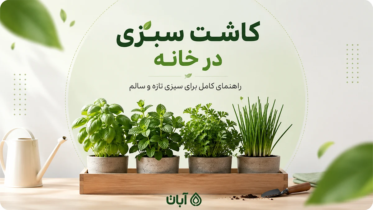 کاشت سبزی در خانه