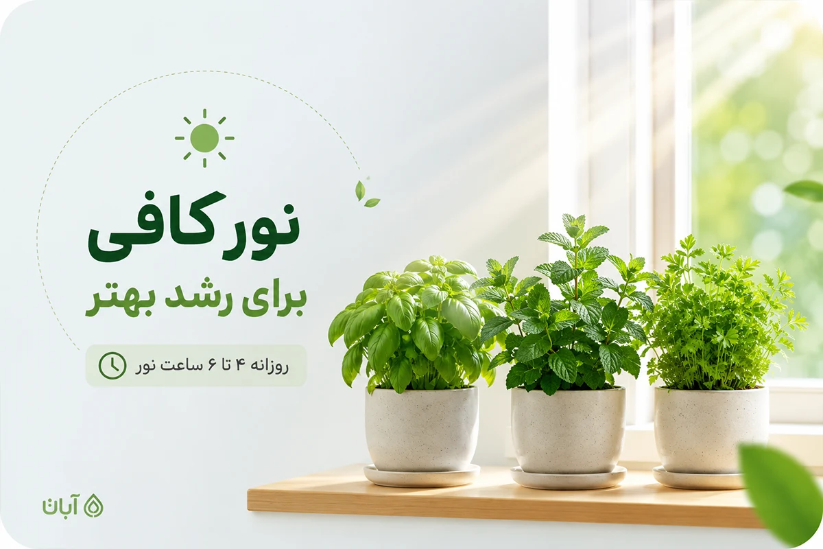 نور مناسب برای پرورش سبزی