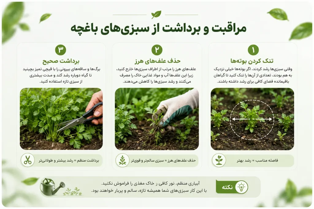 مراقبت از سبزی