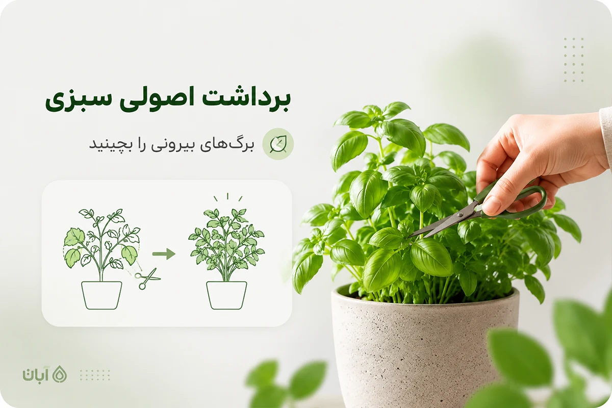 برداشت سبزی