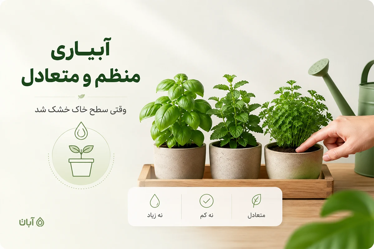 نکات آبیاری سبزیجات 