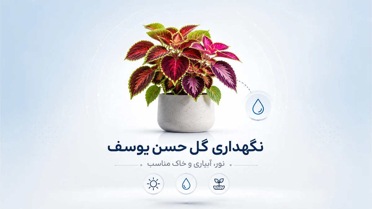 پرورش حسن یوسف