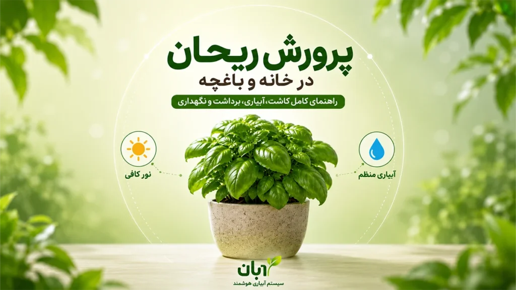 پرورش ریحان