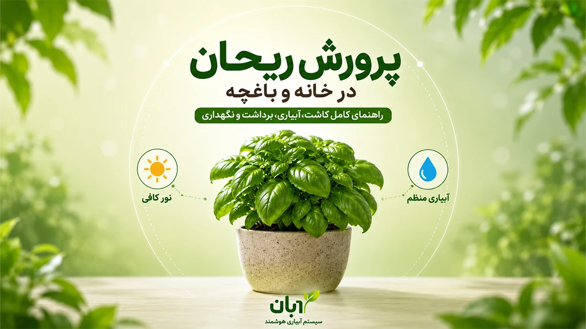 پرورش ریحان