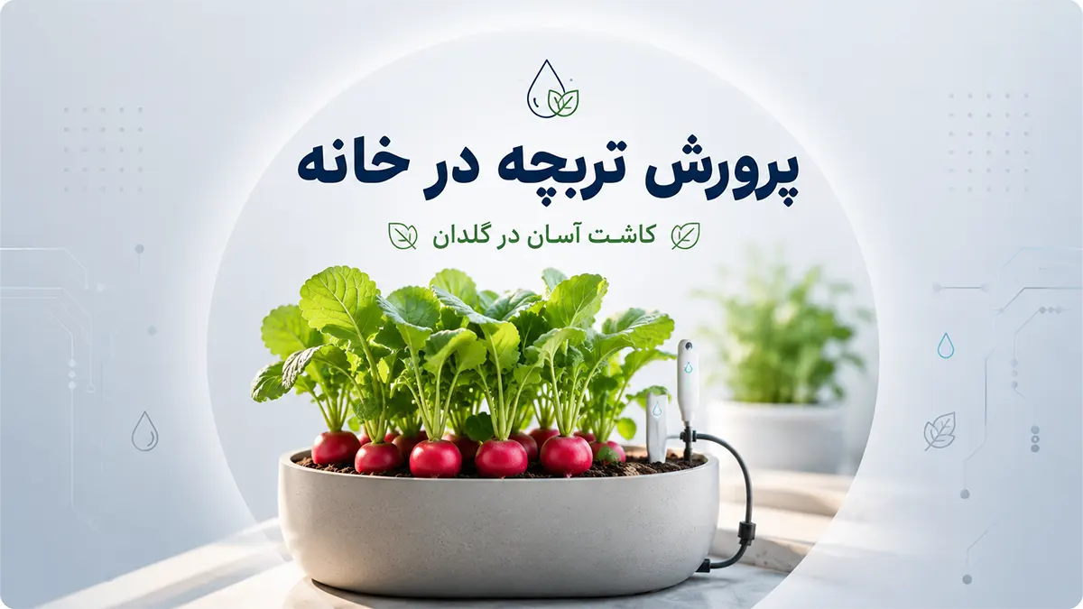 پرورش تربچه در خانه