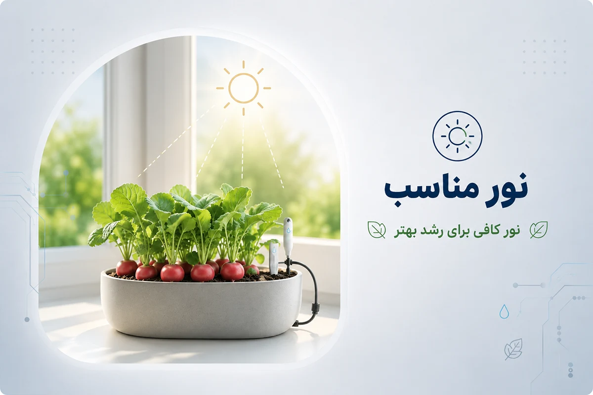 نور مناسب برای پرورش تربچه