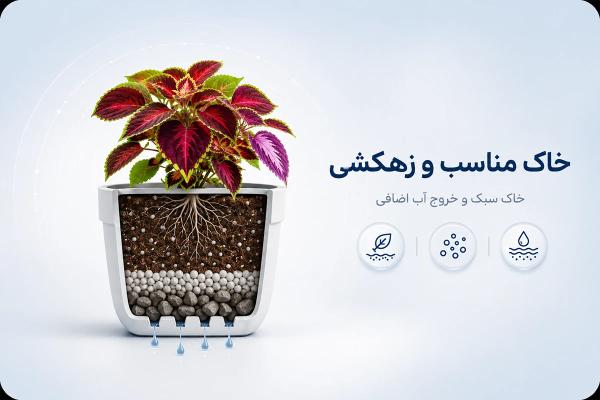 خاک مناسب حسن یوسف