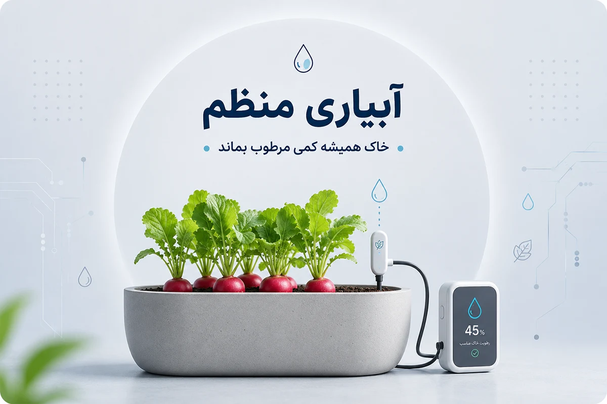 آبیاری تربچه