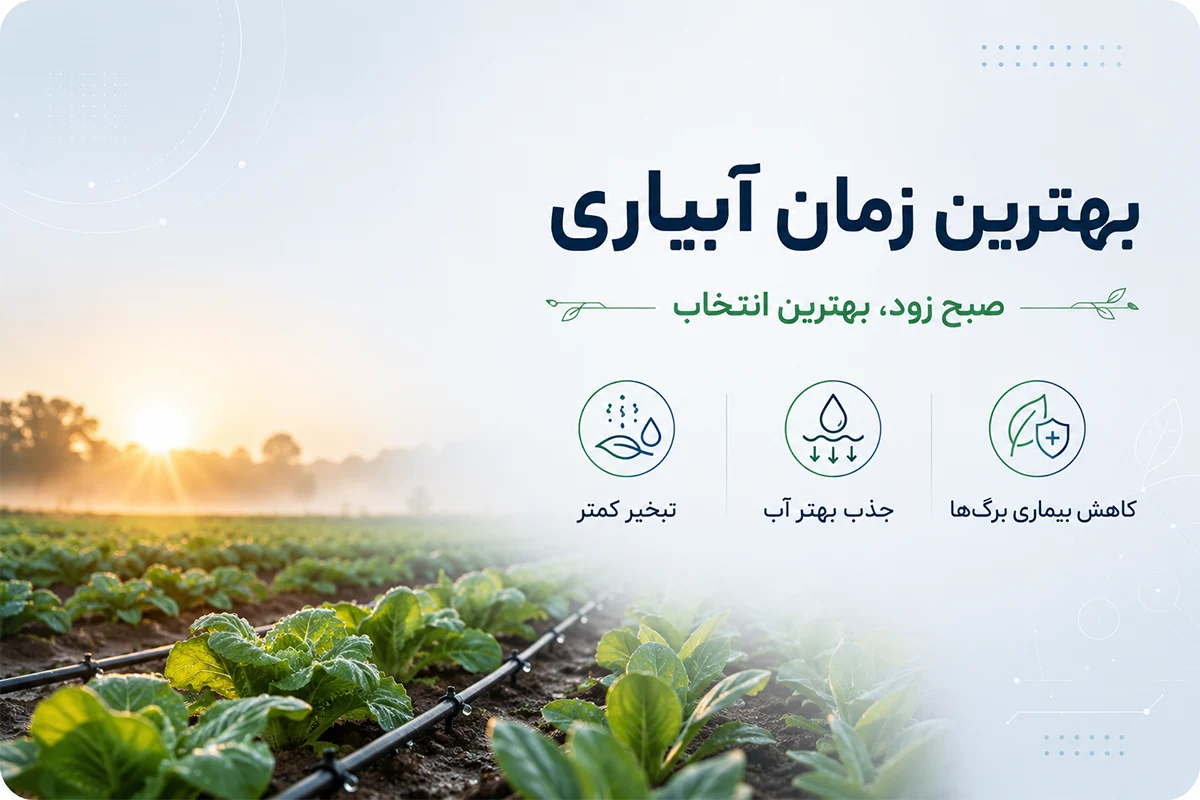 بهترین زمان آبیاری سبزیحات