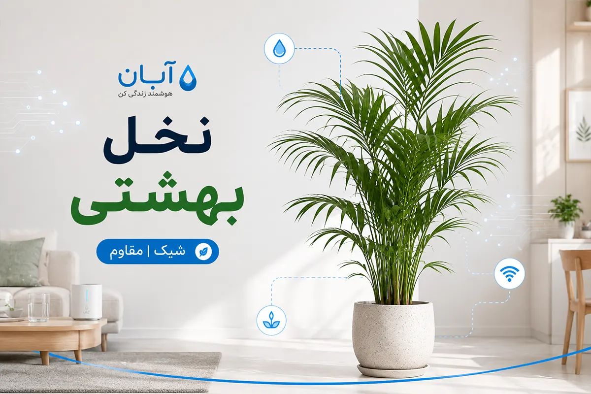 نخل بهشتی
