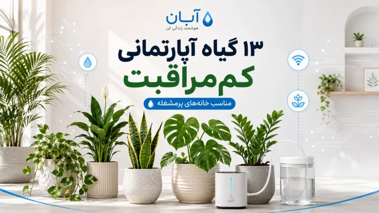 گیاهان آپارتمانی مقاوم