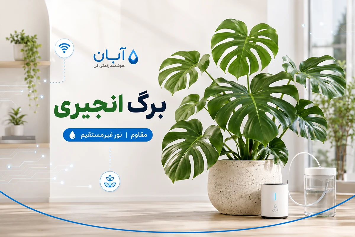 برگ انجیری