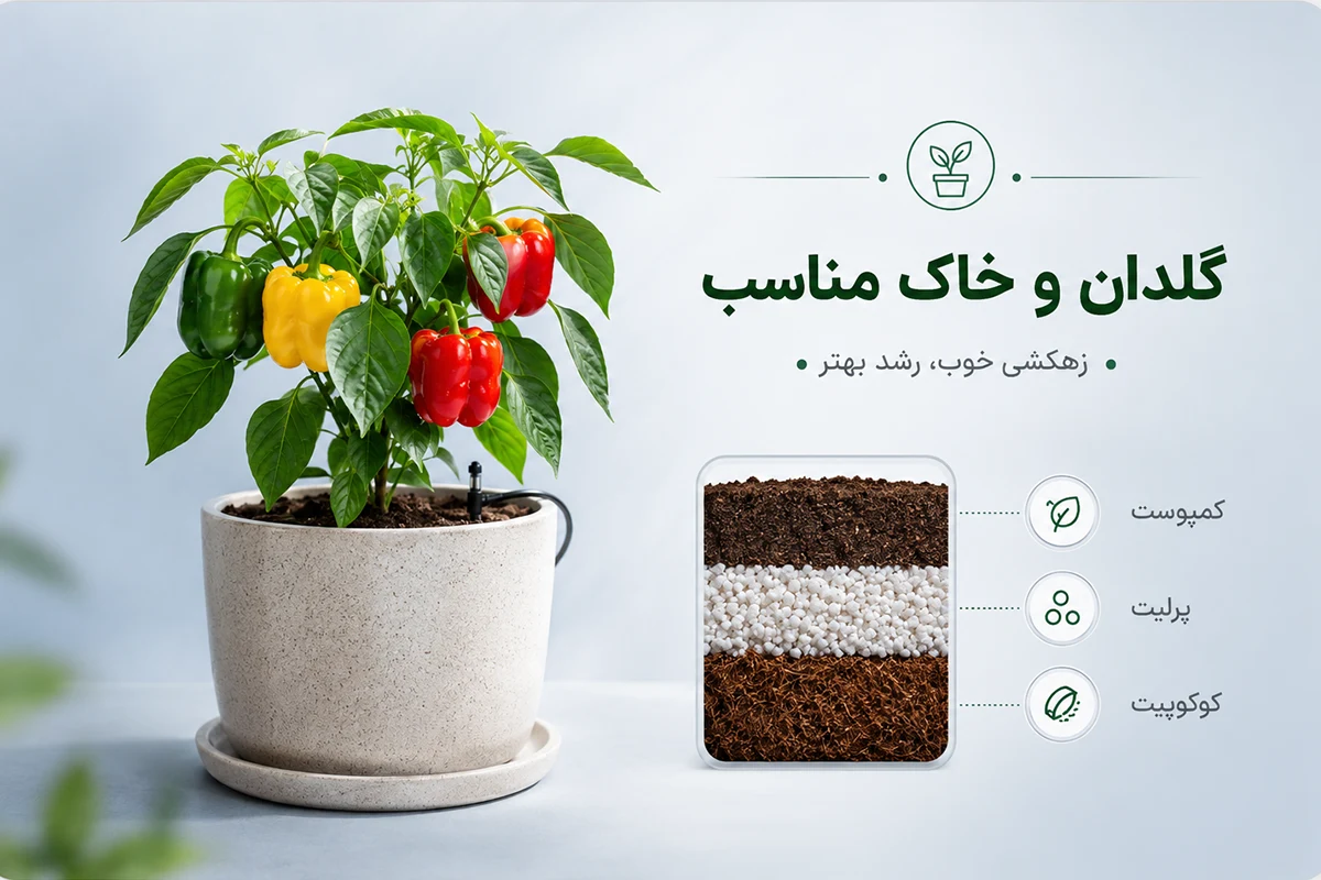 خاک مناسب برای کاشت فلفل دلمه ای
