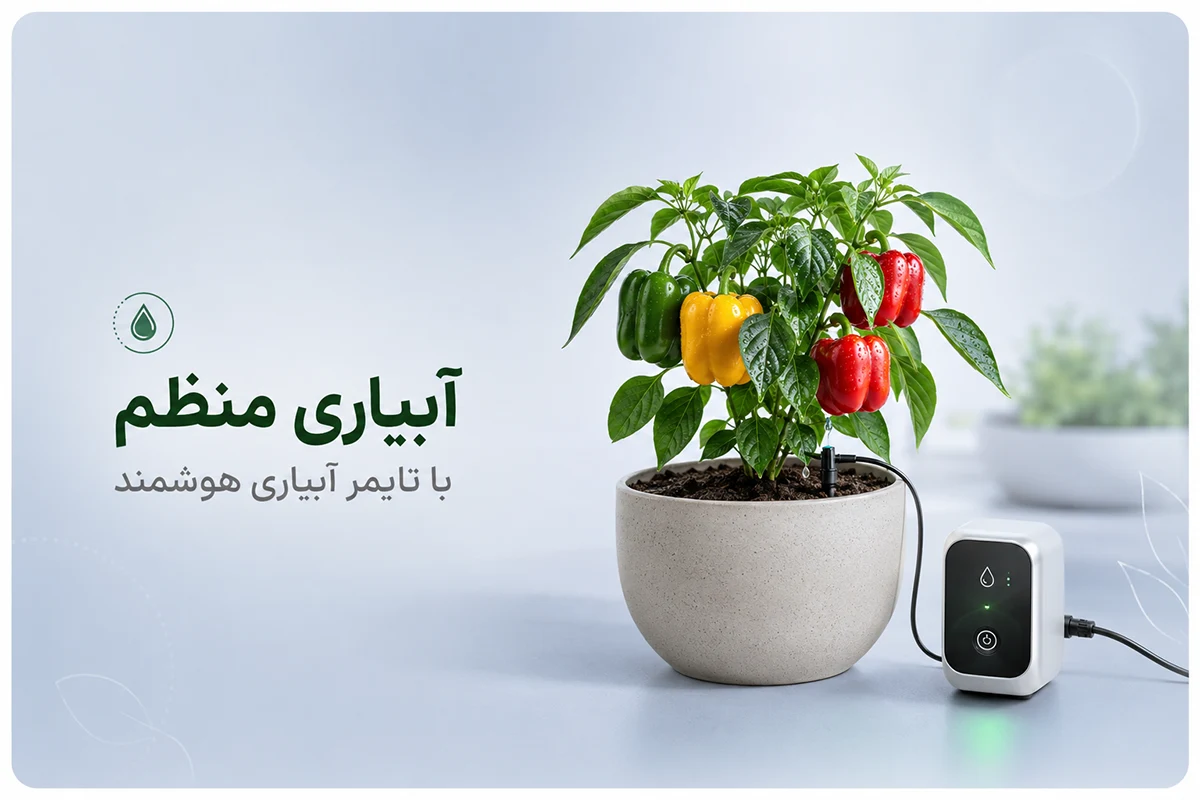 آبیاری فلفل دلمه ای