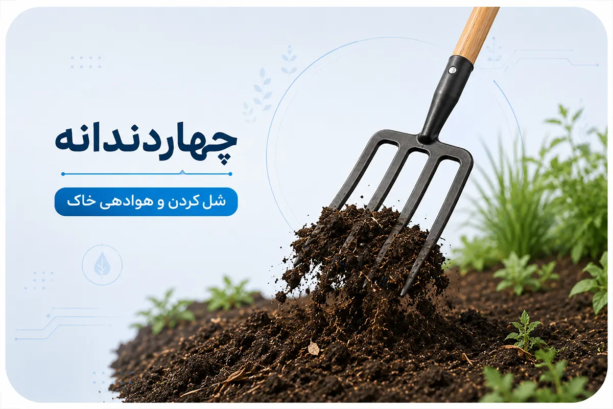 چهاردندانه