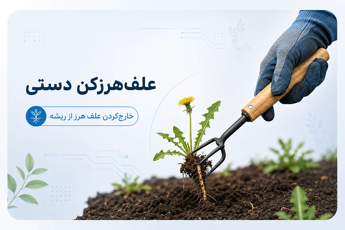 علف زن