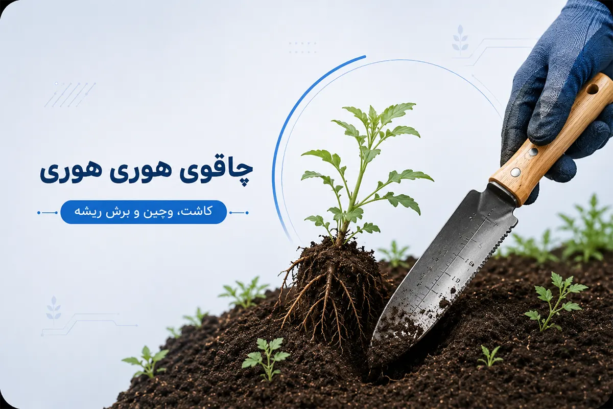 چاقوی هوری هوری