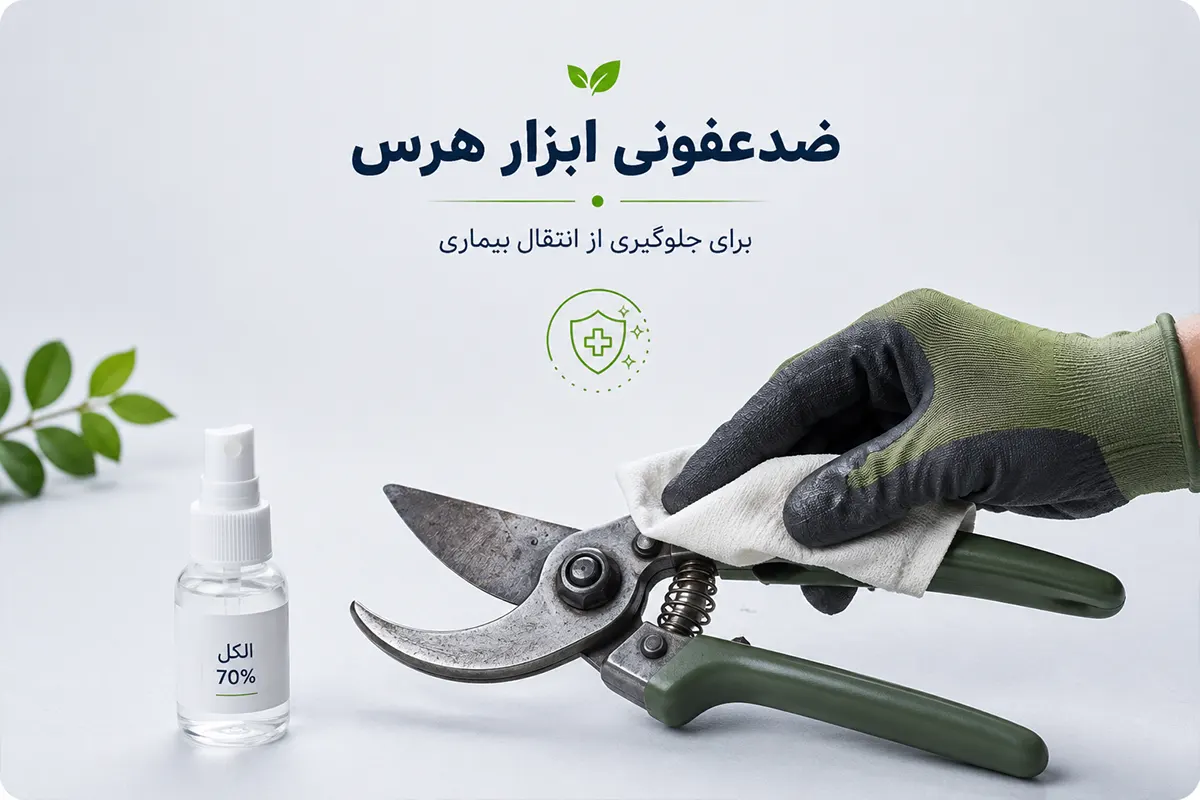 ضدعفونی قیچی هرس بعد از بریدن شاخه بیمار