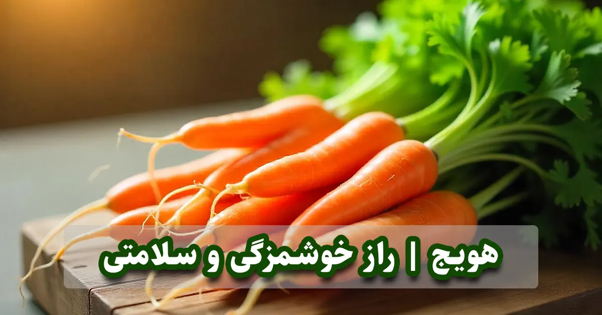 راهنمای کامل کاشت هویج در خانه و باغ