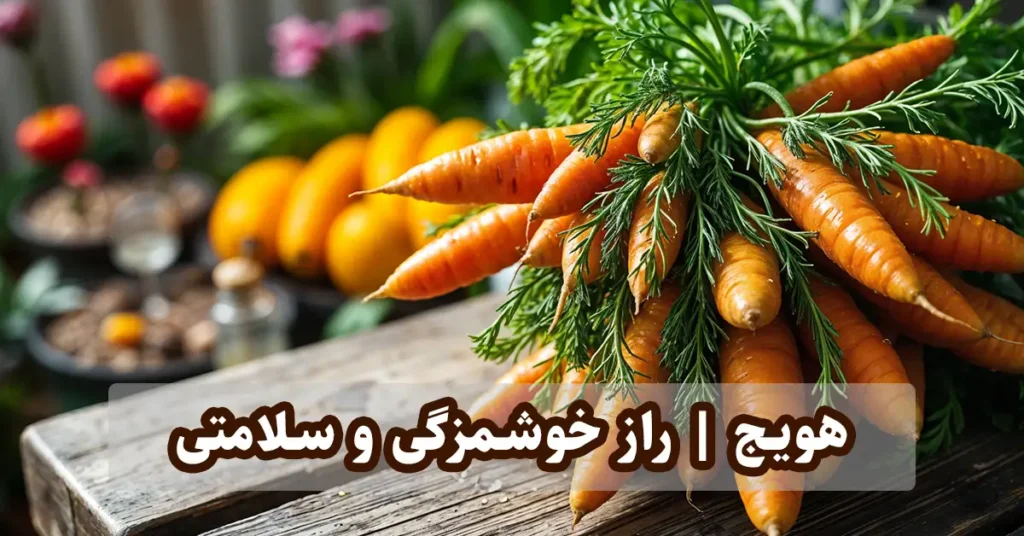 راهنمای کامل کاشت هویج در خانه و باغ