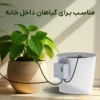 مناسب آبیاری گلدان خانگی - آپارتمانی