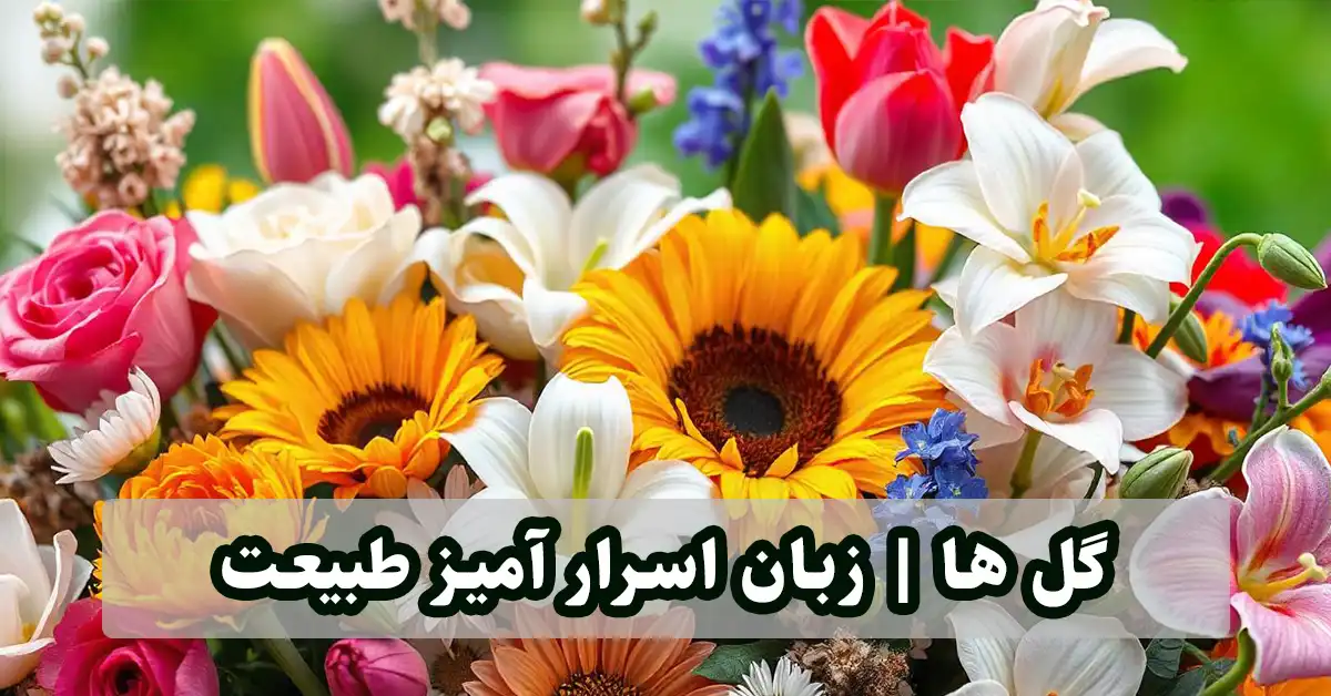 معنی و زبان گلها - گل های رنگارنگ