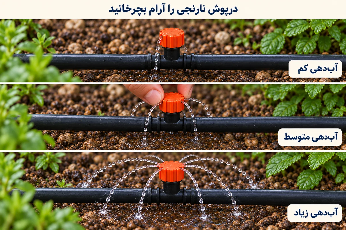 لوله ۱۶ زیر سر نارنجی قطرهچکان و خروج آب از سوراخهای نازل بالای سر نارنجی، با سه مقدار کم، متوسط و زیاد